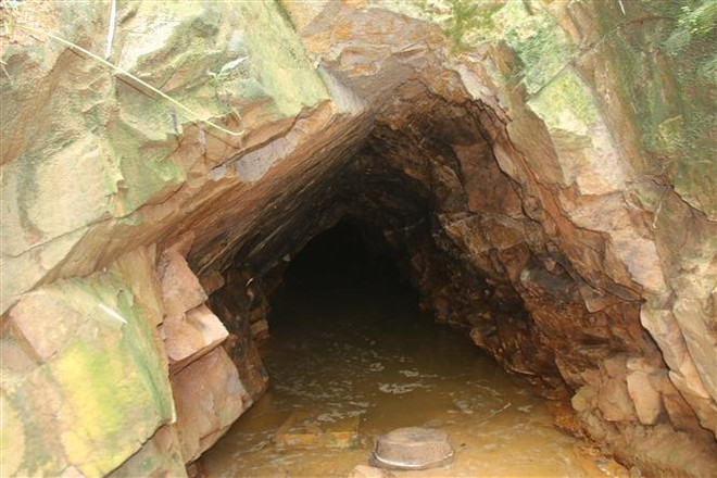 Thừa Thiên-Huế: Khởi tố vụ án về khai thác trái vàng phép ở Nam Đông ảnh 1