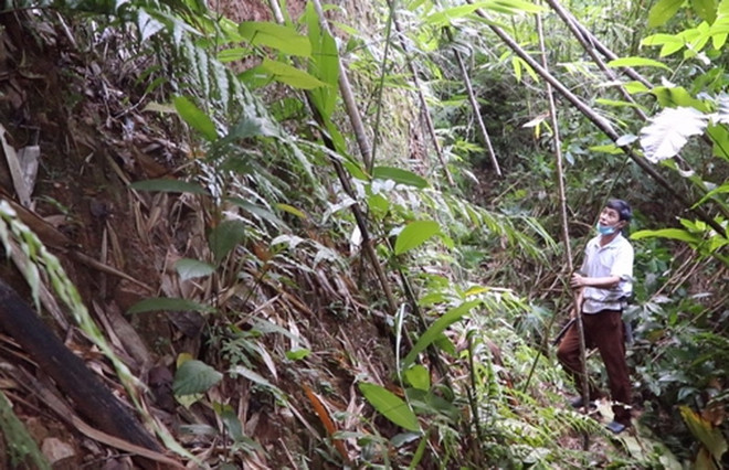 Thanh Hóa: Xuất hiện vết nứt lớn trên núi Tà Hẻm, đe dọa 53 hộ dân ảnh 1