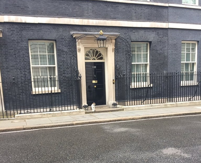 David Cameron rời đi, Theresa May dọn đến, mèo Larry vẫn ở lại ảnh 2
