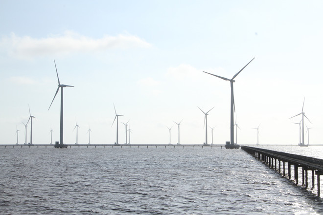 Rào cản nào khiến phát triển điện gió ở Cà Mau chưa xứng tiềm năng? ảnh 3