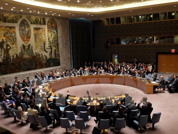 Giữ nguyên lệnh cấm vận vũ khí đối với Somalia và Eritrea ảnh 1