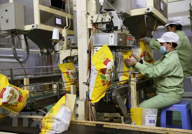 Đẩy mạnh ứng dụng khoa học, nâng chất lượng cho gạo xuất khẩu ảnh 2