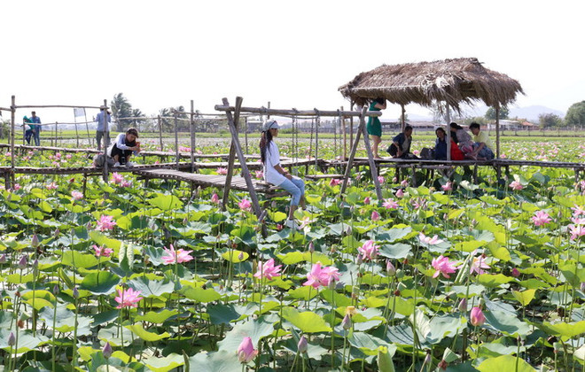 Chàng trai dân tộc Chăm khởi nghiệp thành công với 10 triệu đồng ảnh 2