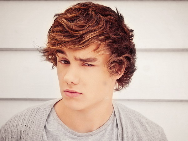 Thêm một thành viên của nhóm One Direction tung album solo ảnh 1