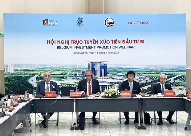 Tăng cường vai trò hợp tác nghị viện trong quan hệ Việt Nam với EU, Bỉ ảnh 2