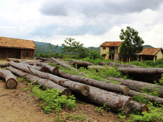 ​​Chặt phá, lấn chiếm rừng ở Lâm Đồng: "Biết rồi, khổ lắm, nói mãi" ảnh 2