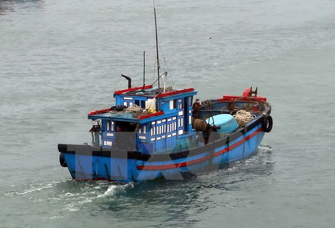 Ảnh minh họa. (Nguồn: TTXVN) Đề nghị cho 29 tàu cá vào tránh bão tại Philippines và Indonesia ảnh 1