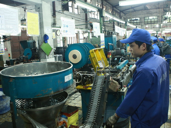 Chính phủ ban hành Điều lệ hoạt động của Tập đoàn Hóa chất ảnh 1