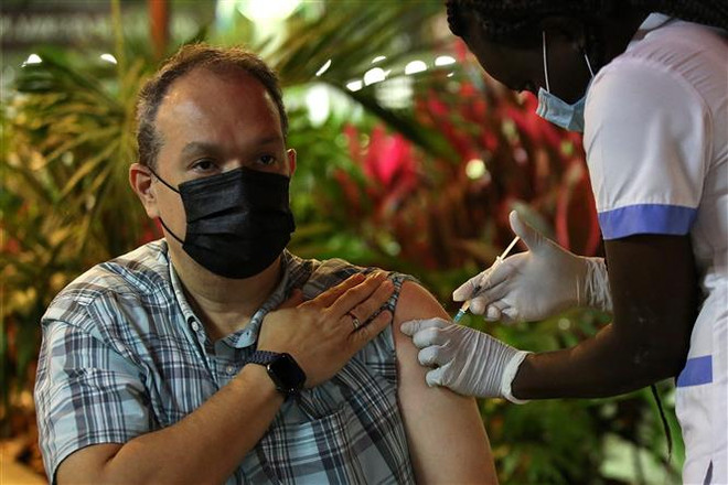 Triển vọng đẩy lùi dịch COVID-19 bằng các loại vaccine mới ảnh 2