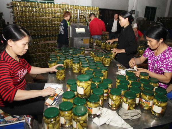 Ứng dụng kỹ thuật trong chế biến, bảo quản nông sản ảnh 1