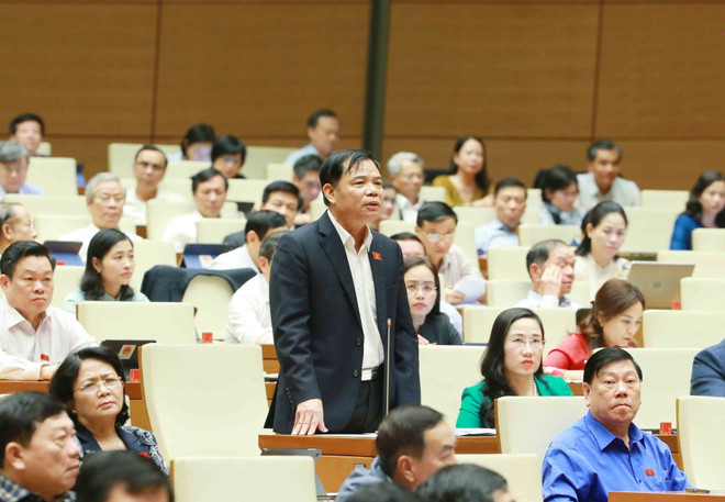 Hỗ trợ người dân tham gia trồng rừng nhằm tăng trữ lượng và chất lượng ảnh 1