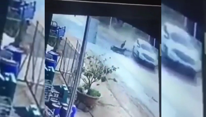 Đình chỉ công tác Phó Chi cục trưởng Hải quan say xỉn gây tai nạn ảnh 2