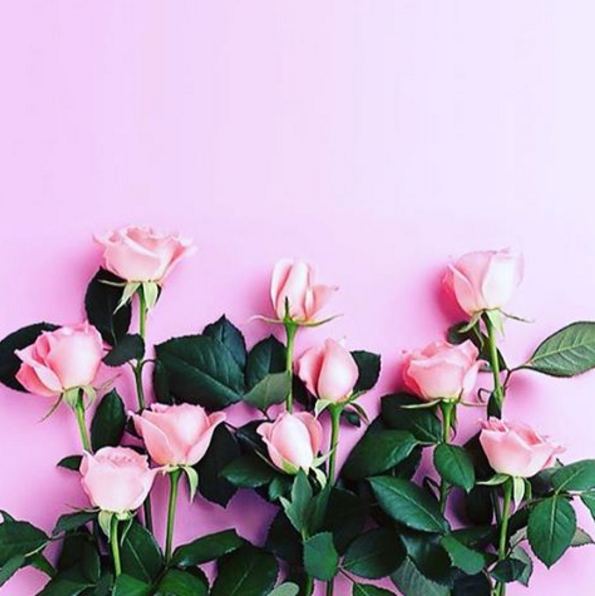 Bốn loài hoa tuyệt đẹp giúp các nàng rạng rỡ hơn bội phần ảnh 1