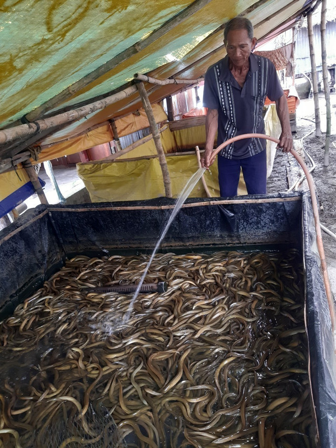 Bạc Liêu: Huy động các nguồn lực thực hiện giảm nghèo bền vững ảnh 2