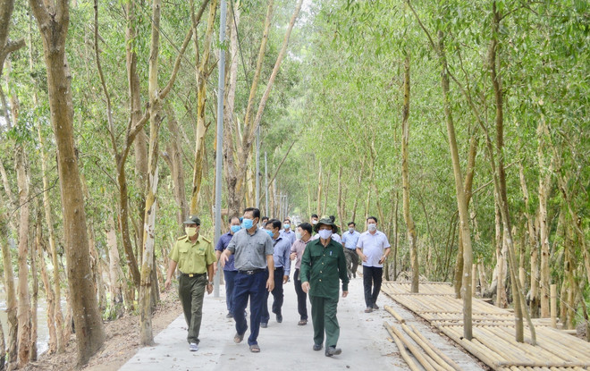 An Giang: Khoanh vùng trọng điểm, chủ động chống cháy rừng mùa khô ảnh 2