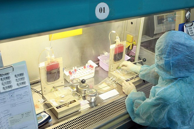 Phương pháp mới trong điều trị bệnh thiếu máu hồng cầu lưỡi liềm ảnh 1