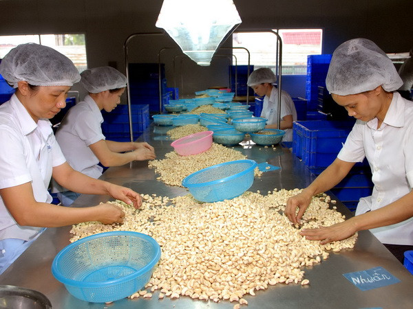 Việt Nam và Trung Quốc đẩy mạnh hợp tác lĩnh vực nông nghiệp ảnh 1