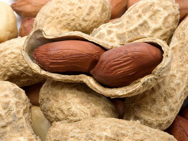 Ăn lạc thường xuyên giúp giảm nguy cơ tử vong vì bệnh tim mạch ảnh 1