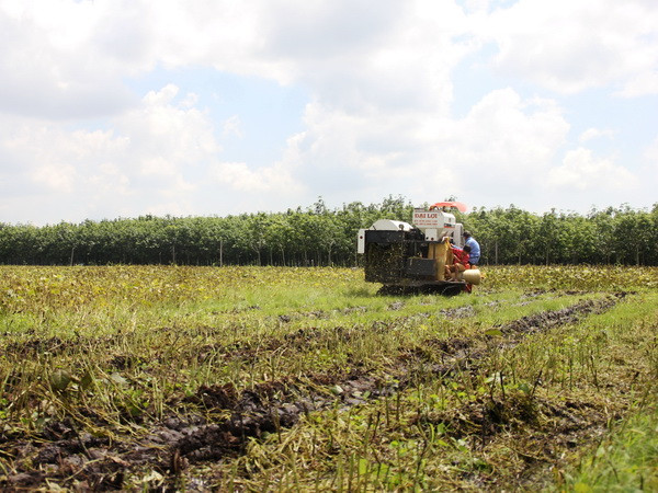 Tây Ninh bố trí lãnh đạo chủ chốt huyện không phải là người địa phương ảnh 1