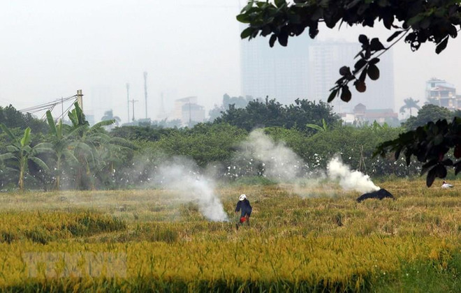 Hội thảo 'Hiểu đúng về ô nhiễm không khí' tại thành phố Hà Nội ảnh 1
