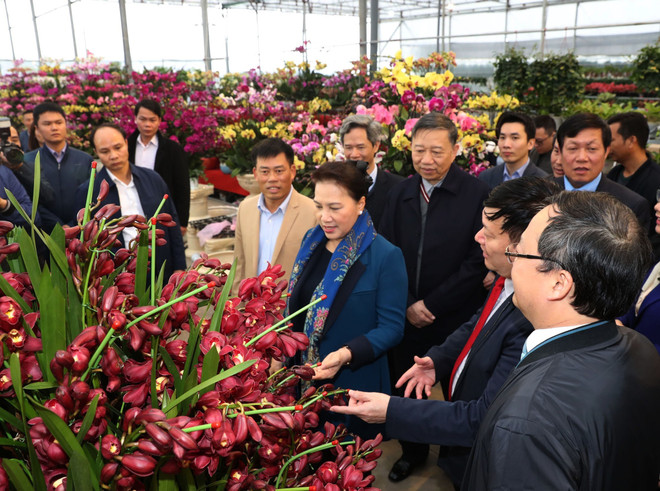 Chủ tịch Quốc hội thăm xã nông thôn mới tại tỉnh Hưng Yên ảnh 1