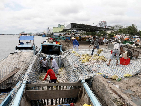 20 năm sau bão Linda ở Cà Mau: Bài học từ mất mát đau thương ảnh 1