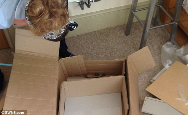 Mua đồ nội thất được “khuyến mại” thêm con rắn chết ảnh 2