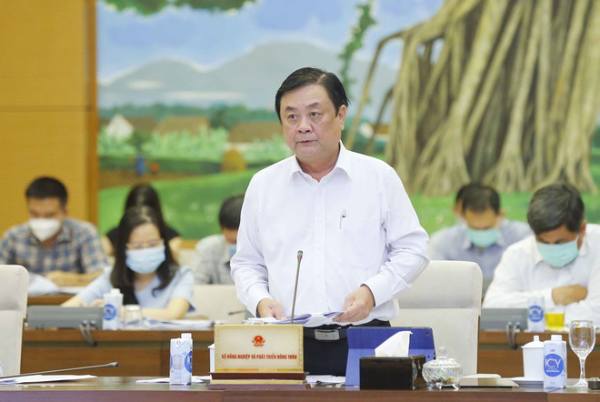 UBTV Quốc hội: Nâng cao đời sống, phát triển KT-XH nông thôn ảnh 1