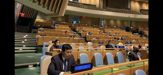 Ấn Độ hoan nghênh những đóng góp tích cực của Việt Nam tại HĐBA ảnh 1