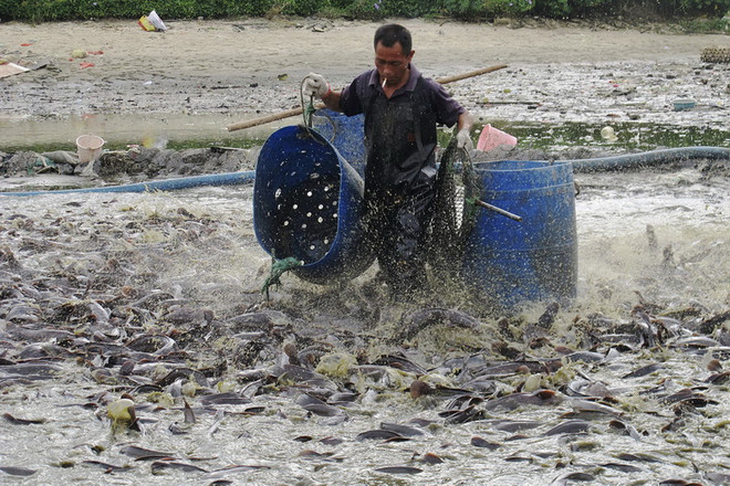 Hình ảnh gây sốc về mức độ ô nhiễm môi trường ở Trung Quốc ảnh 9