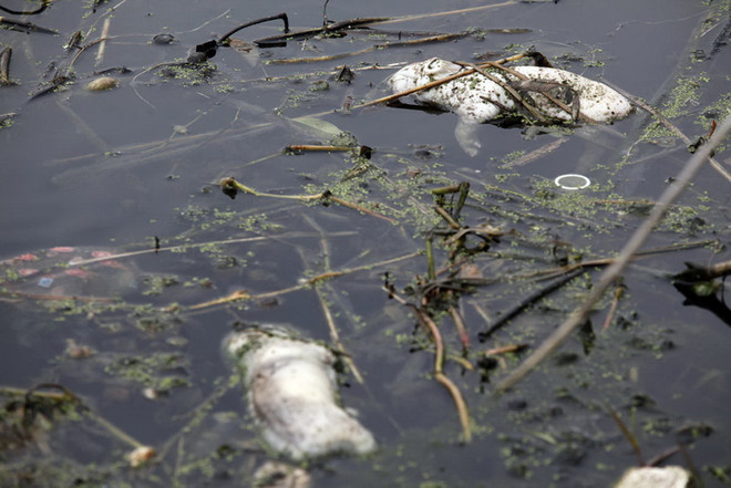 Hình ảnh gây sốc về mức độ ô nhiễm môi trường ở Trung Quốc ảnh 6