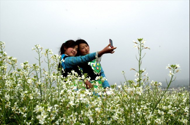 Sơn La kêu gọi đầu tư vào 21 dự án trọng điểm phát triển kinh tế ảnh 2