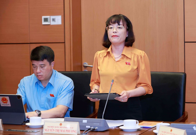 ĐBQH: Lấy phiếu tín nhiệm là cơ sở cho việc đánh giá cán bộ ảnh 1