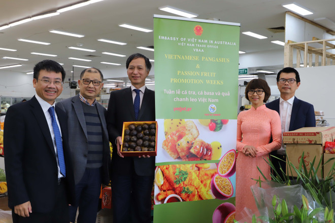 Lần đầu tiếp thị 2 tấn chanh leo VN cấp đông nguyên quả sang Australia ảnh 1