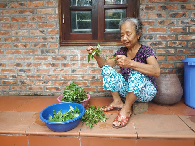 Làm rõ việc 'hỗ trợ tiền COVID-19' không đúng đối tượng tại Phú Xuyên ảnh 1