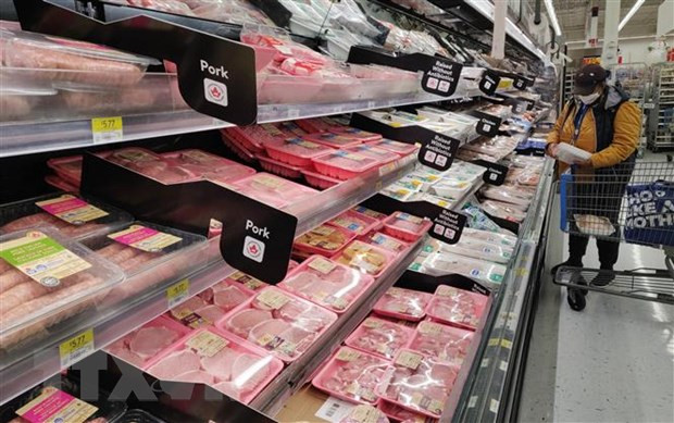 Kinh tế thế giới có sẵn sàng đối mặt 'lạm phát đình trệ' trong 2022? ảnh 1