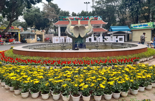 Các chậu hoa được trang trí đẹp mắt ở trong khuôn viên Vườn thú Hà Nội. (Ảnh: HV/Vietnam+) Những người làm đẹp cho Thủ đô “đón” Tết Nguyên đán Quý Mão 2023 ảnh 1