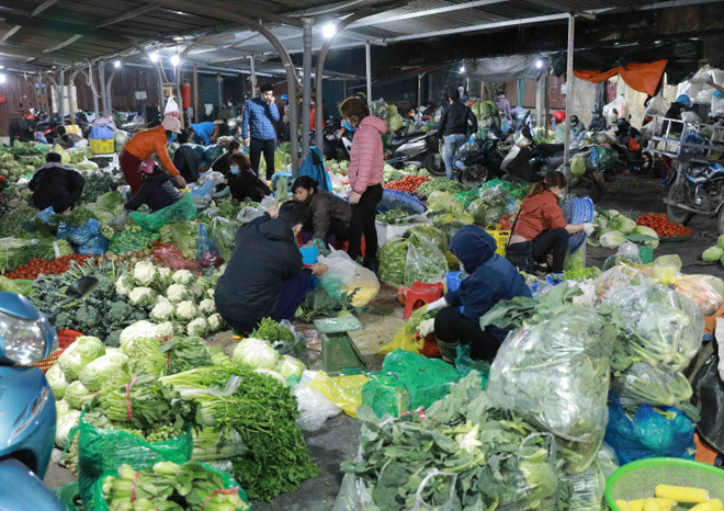 Nguồn cung dồi dào và giá cả ổn định suốt dịp Tết Nguyên đán ảnh 1