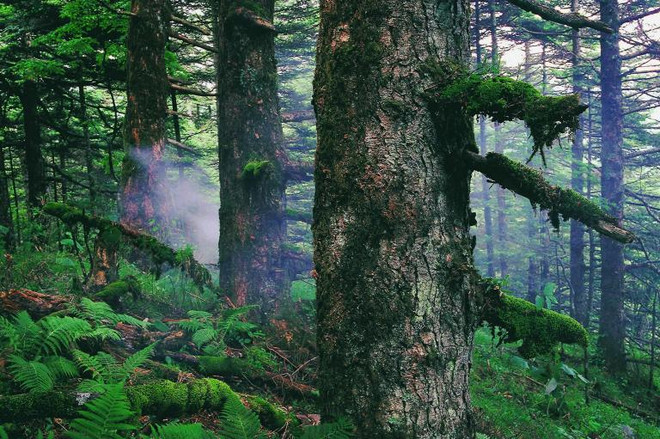 10 điểm đến di sản thế giới 2016 du khách không nên bỏ lỡ ảnh 4