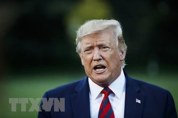 Bầu cử Mỹ 2020: Đảng Cộng hòa sẽ 'thay ngựa giữa dòng'? ảnh 1