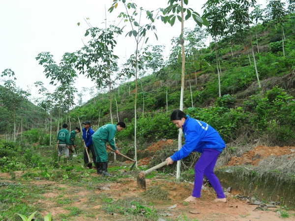 Hà Giang: Tín hiệu vui cho người dân gieo “vàng trắng” ảnh 1