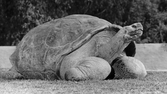 Sự kiện quốc tế 11-17/9: iPhone X ra mắt với sự cố FaceID ảnh 8