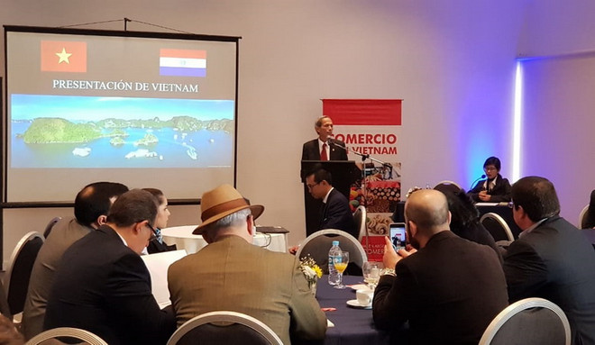 Việt Nam-Paraguay tăng cường hợp tác và trao đổi thương mại ảnh 2