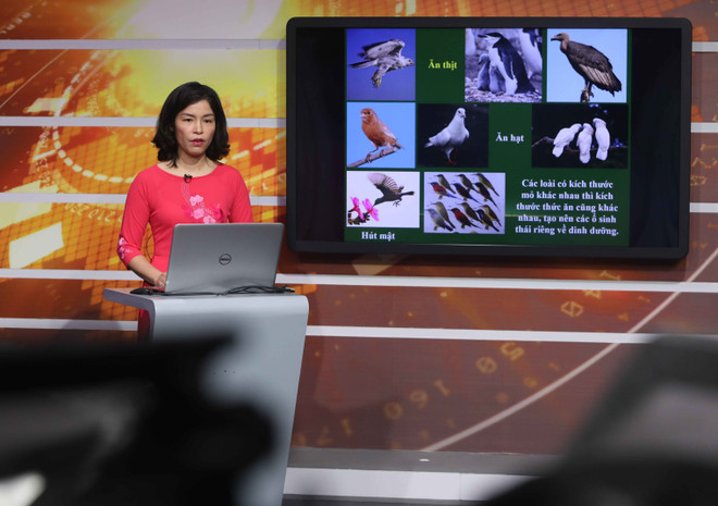 Bài dạy trên truyền hình cho học sinh Hà Nội: Dễ hiểu, đúng trọng tâm ảnh 1