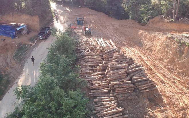 Vụ phá rừng trên đèo Pha Đin: Tạm giam Chủ tịch UBND xã Tỏa Tình ảnh 1