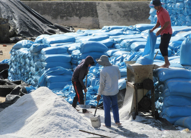 Đổi mới sản xuất và có chiến lược phát triển bền vững nghề muối ảnh 1