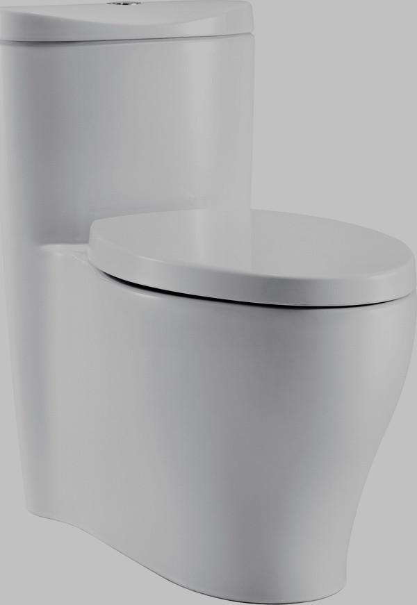 Bồn cầu Aerodyne tiết kiệm nước. Kohler ra mắt sản phẩm bồn cầu Aerodyne tiết kiệm nước ảnh 1
