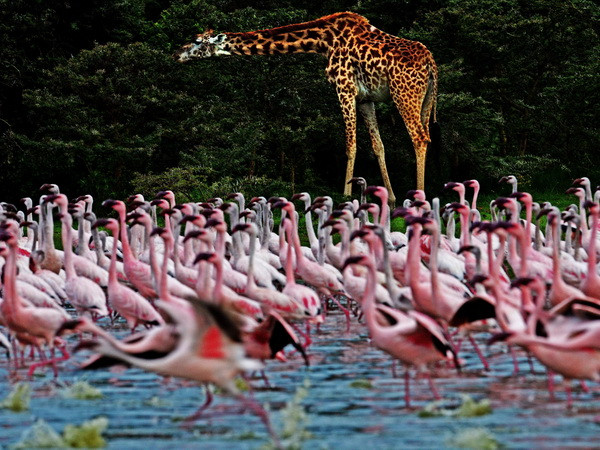 78 địa điểm trên thế giới cần được ưu tiên bảo vệ ảnh 1