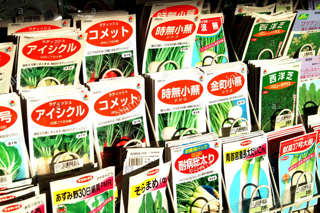 Nhật Bản cấm mang ra nước ngoài hạt giống cây trồng, cây giống ảnh 1