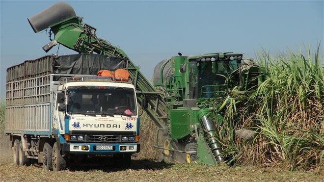 Gia hạn điều tra chống lẩn tránh phòng vệ thương mại với đường mía ảnh 1